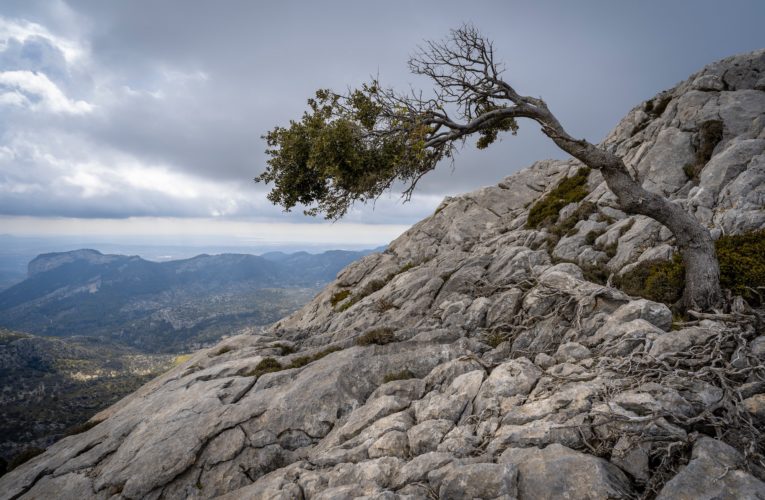 Sublet: The Importance of Resilience in Overcoming Trauma