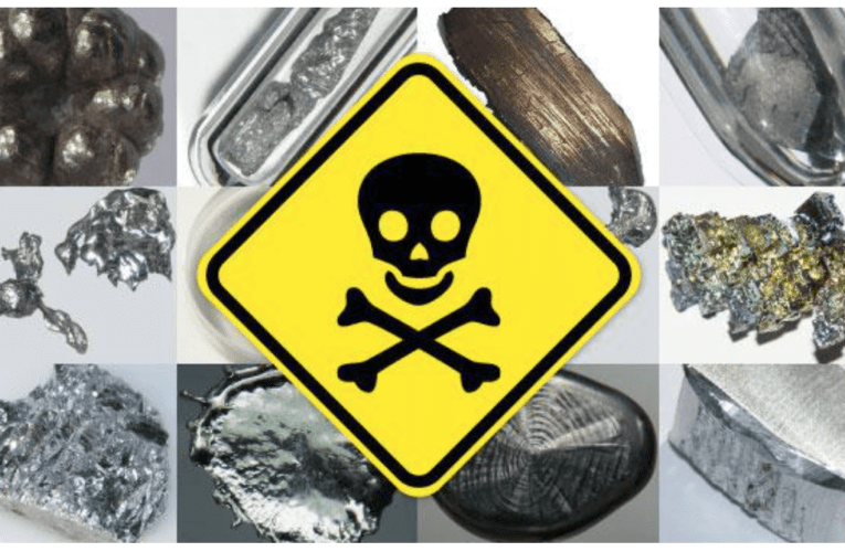 Take Control of Your Health at Home in Sublet – Know how Heavy Metals Affect You