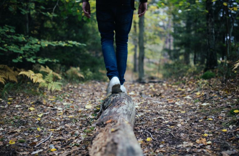 Tips for Balancing your Hormones Naturally  in Sublet