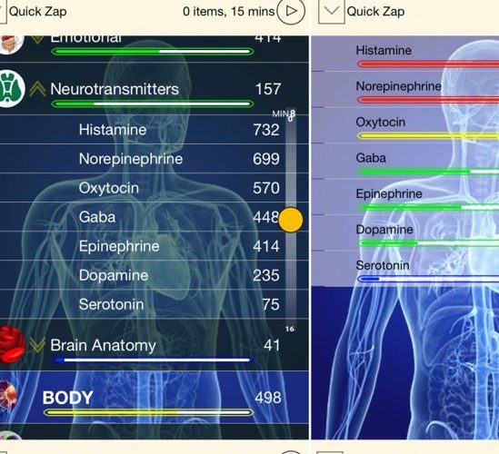 What is frequency medicine? Get a Free Remote Frequency Session in Sublet